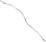 Gerson 38651 - 9' 36 Light Silver Wire Warm White Battery Operated Indoor LED Micro Miniature Christmas Light String Set