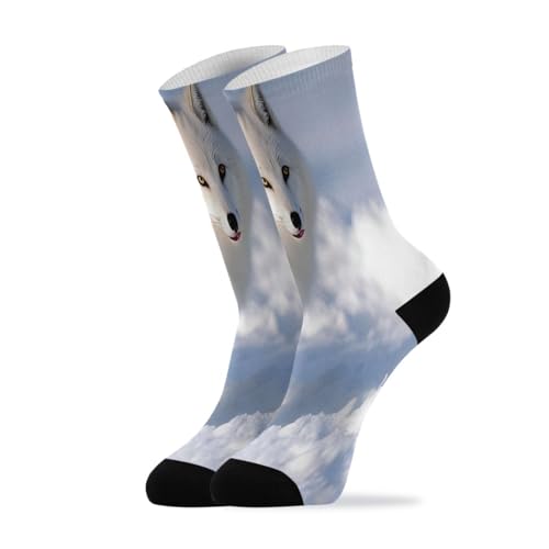 Bolaz Crew Socks Comfort All-season Socks Rainbow Arctic Fox