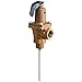1 in Brass Automatic Reseating T and P Relief Valve, 150 psi, 210 Degree F, Test Lever, 5 in Extension Thermostat
