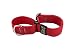 Bub´s Halsband Martingale für Windhunde Gross und mittel. Masse des Halsumfangs des Hundes: 35 – 50 cm (Rainbow)
