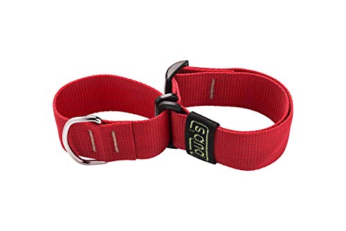 Bub´s Halsband Martingale für Windhunde Gross und mittel. Masse des Halsumfangs des Hundes: 35 – 50 cm (Rainbow)