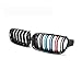 Para BM&W f30 serie 3 parrilla delantera ABS doble brillo negro mate parrilla para BM&W f35 accesorios 2012-2019 parrilla BM&W doble lama Car Tuning Styling Body Partes ( Color : F30 dual M colour )