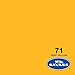 Savage Seamless Paper Photography Backdrop - Color #71 Deep Yellow, Size 86 Inches Wide x 36 Feet Long, Backdrop for YouTube Videos, Streaming, Interviews and Portraits - Made in USA