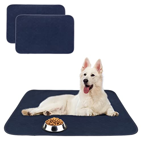 Top 10 Best Water Absorbent Mat For Dog Water Bowls [Top Picks 2023