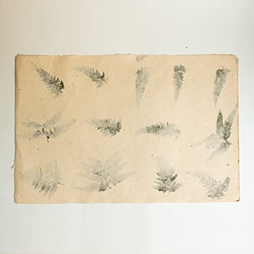 Bodhiartistry Handmade Reusable All Natural Gift Wrapping/Packaging Art & Craft Paper With Green Leaves 5 Sheets 20"X30" #TOP3