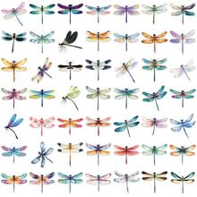 50PCS Dragonfly Stickers for Water Bottle,Skateboard,Bike,Luggage,Laptop,Scrapbook,Car,Helmet,Cute Insect Waterproof Vinyl Sticker,Adults Children Gift,Animal Cartoon Aesthetic Graffiti Decals - Image 3