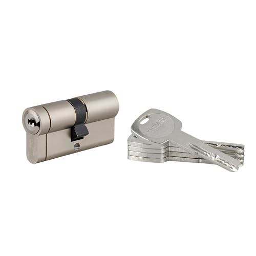 THIRARD Cylindre de Serrure Transit 1, 30 x 30 mm, Nickel, 5 Clés
