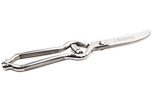 Mundial 715-10 tesouras para aves, cromadas