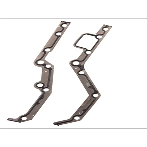 Elring 382.900 Gasket Set, Timing case