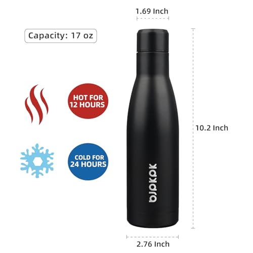Image of BJPKPK 17oz Skinny Insulated Water Bottle, Stainless Steel Flask