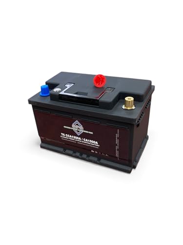 Lithium Car Starting Battery, BCI Group Size 91 / T6-LBN3