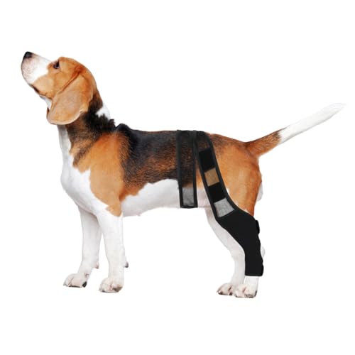 Angoily 犬用膝ブレース 負傷脚カバー 後ろ足用スリーブ ブラック Xlサイズ ペット用回復補助 軽量暖素材 適用前後脚 ハイキングや散歩向け 中型犬大型犬用