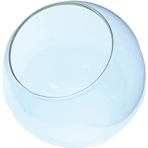 そらプリ ガラス 斜口瓶 120mm 1個 テラリウム 苔 インテリア 平底 ボウル 花器