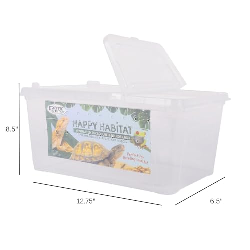 Happy Habitat – Caixa ventilada e caixa de reprodução – para insetos, répteis, anfíbios e outros ani