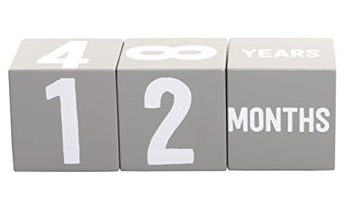 Image of Kate & Milo Baby Milestone Photo Props, Monthly Growth Markers, Baby Age Milestone Keepsakes, Gray Wooden Monthly Blocks, Baby Photo Prop