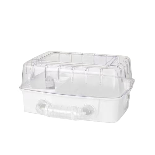 BtcFu glt̑傫ȓnX^[P[WAS[fxA̓ANyDIYP[WAnX^[pi ()