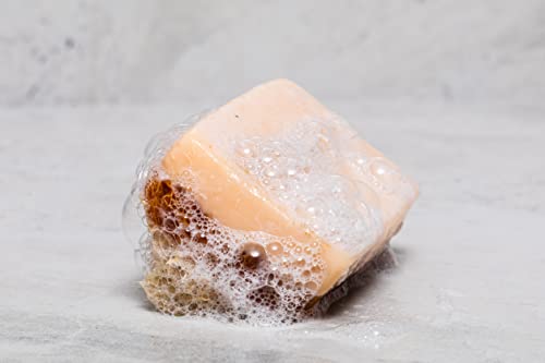 Sabun Co. Donkey Milk Soap With Honey - Natural Exfoliating Loofah Soap Bar - Nourishing, Hydrating, Moisturizing Handmade Soap For Face And Body - Soap With Loofah Inside [4.4 Oz - 125 Gr] #TOP4