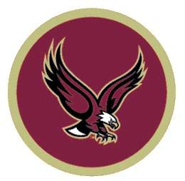 Amazon.com: 3 Inch BC Golden Eagle Logo Decal Boston College