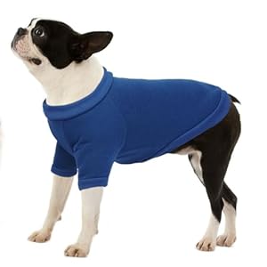 Allroaring Small Dog Sweatshirt, Basic Pet Fleece Sweatshirt, Lightweight Pet Pullover, Warm Dog Sweater, Soft Puppy Clothing, Winter Doogie Clothes, Cat Apparel (Medium, Blue)