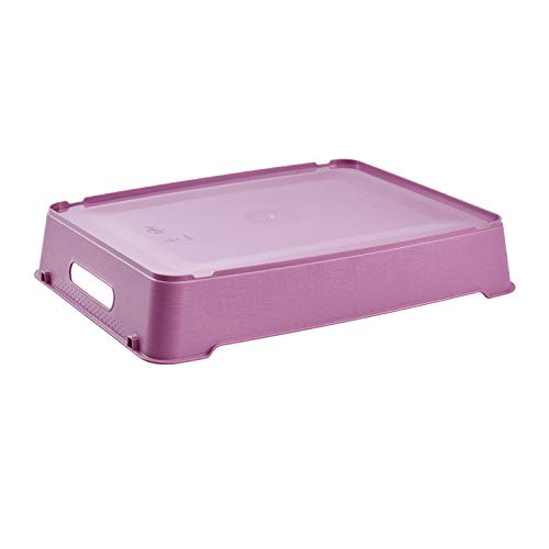 Keeeper Contenitore, Lotta, Polipropilene