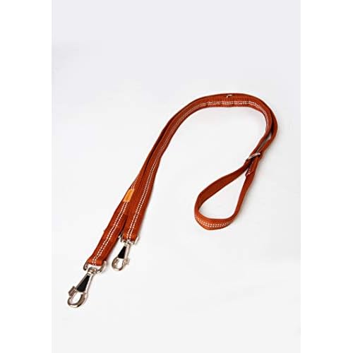 A. Hoffmann GmbH Super Soft Nylonleine, Führleine Cognac, 3-Fach verstellbar 100-210 cm, 15 mm - passend zu den Feltmann Hundegeschirren, inneliegend ausgepolstert, reflektierend