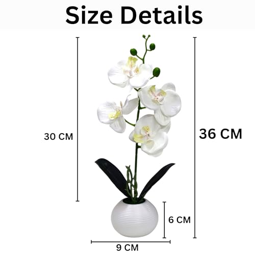 Image of CURATED CART Flower Pot with Artificial Flowers - Orchid White Flower with White Vase | Ideal for Home Decor | Office Decor | Gifting | Size 36 x 9cm