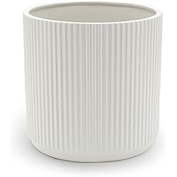 Maceteros Airport Amazon Basics Redondo Maceta de cerámica, estriada, 20.3 cm, Blanco