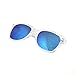 SHADERZ Sunglasses Classic Clear Frame Horn Rimmed Eyewear Classic Retro 80's (Ice Blue, 54)