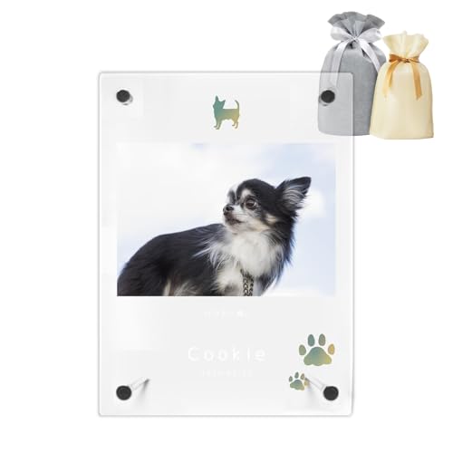 yꖳztHgt[ ʔv  ybg ʔv  d Mtg ʐ^ AN dog001 (MTCYEĒu, O[Eʐ^)