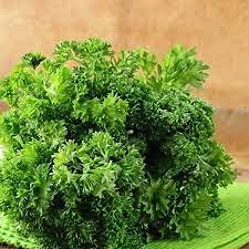 Audbhidhi Vegetable Seeds | Parsley Seeds | Parsley Vegetable Seeds | Parsley Seeds For Planting | Parsley Seeds For Home Garden pack of 20 seeds (B09GHHBPTD) Amazon Price History, Amazon Price Tracker