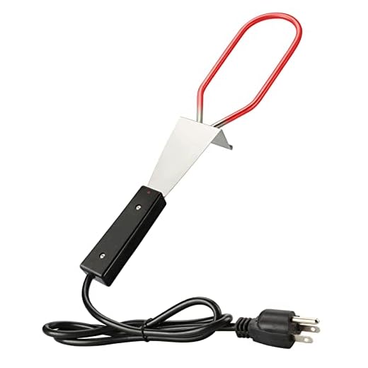 WishDirect 600W Electric Charcoal Starter Fire Lighter with Power Indicator Light for BBQ Grill Smoker Fireplace, Firepit, Stove - Quickly Ignite Coals Briquettes - 29 Inch Power Cord