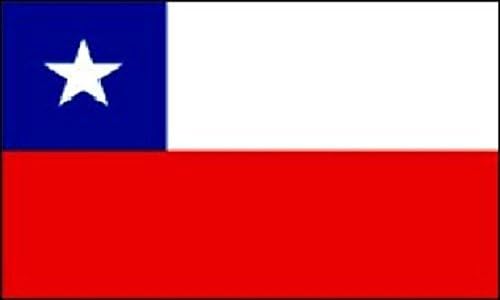 B&Y Chile Flag Chilean Country Banner South America Pennant Bandera 2x3 Foot 24x36