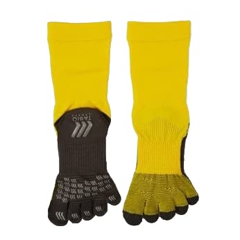 ^rI 5zrN[ y CG[ L z TbJ[\bNX tbg{[ 5{w\bNX XgbLO ܖ{w ~ C ʃTCY WjA TAB-FB5iJ[11Fj ~ ̖D z L H 5{wC RۖhL