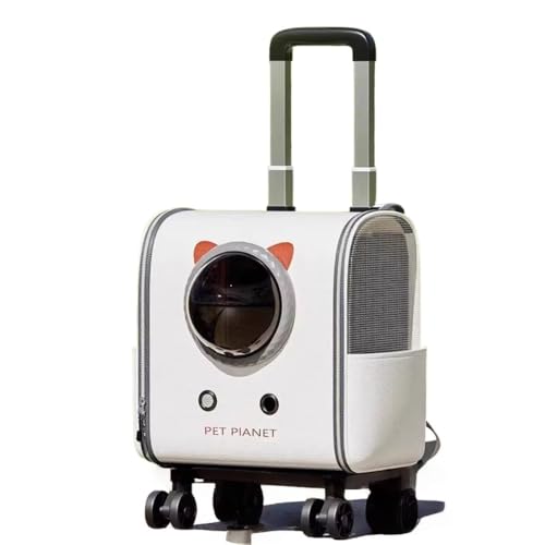 YAKINO  L ? ֌gw ?W s/Z@/Oo/?Q?p e  FD (fW,F)