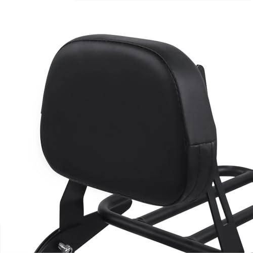Dossier passager amovible avec porte-bagages Rebel CMX1100 - 6