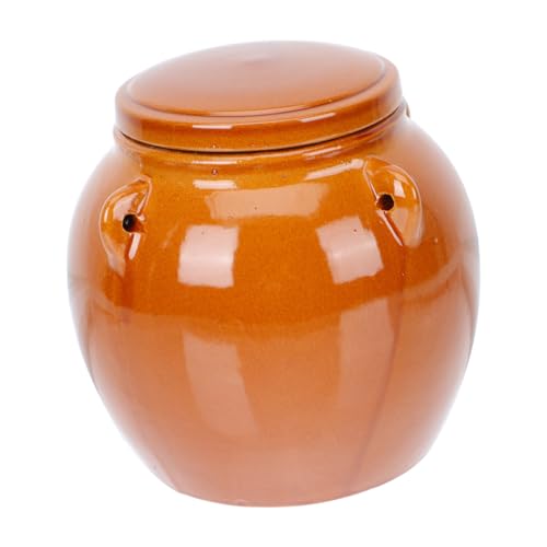 Holibanna 1Pieza Cerámica Para Encurtidos y Almacenamiento De Comida Vintage Para Miel Secos y Otros Secos Capacidad