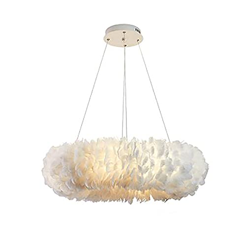 Lámpara de Techo romántica Redonda con Plumas, Estilo nórdico, Base E27, Altura Ajustable, para habitación de niña, Dormitorio Infantil, Gris, 50 x 14 cm (Blanco, 80 x 22 cm)