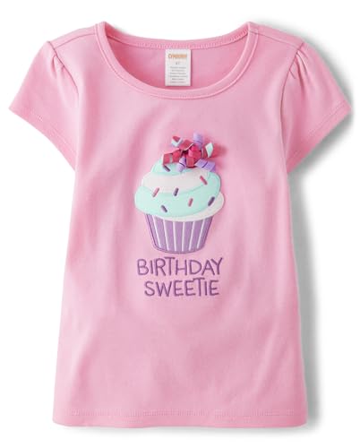 Gymboree,and Toddler Embroidered Graphic Short Sleeve T-Shirts,Pink Birthday Cupcake,2T