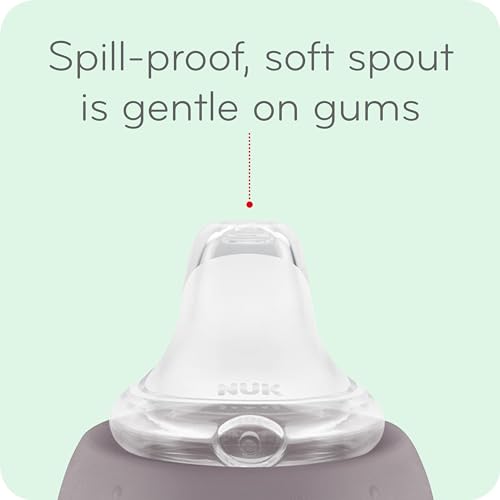 NUK Active Sippy Cup, 10 oz, 2 Pack, 8+ Months