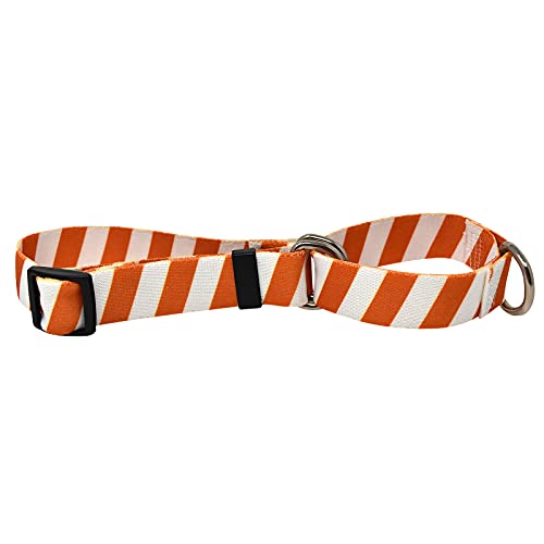 Image of Yellow Dog Design Team Spirit Rust and White Dog Collar with Tag-A-Long ID Tag System-Large-1 inch Neck 18 to 28 inch