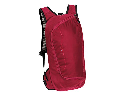 Cube Pure Race 4l Backpack One SIze
