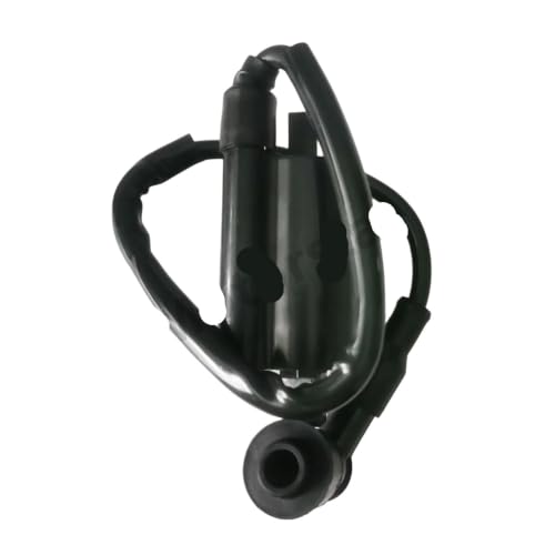 Bobine d'allumage contre démarrage difficile Ninja 250r EX250