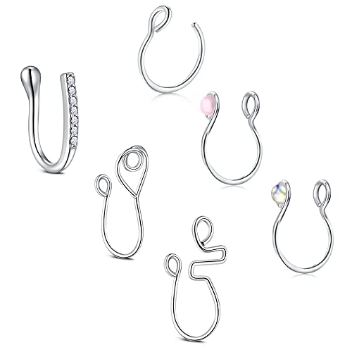 D.Bella Faux Piercing Nez Septum 6 Pcs Faux Piercing au Nez Acier Inoxydable Non-pierced Anneau de Nez Septum Non Bijoux Piercing pour Femme Homme