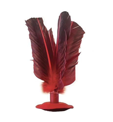 Kickit Maestro Trainer Aerodynamic Kick Pad Birdie for