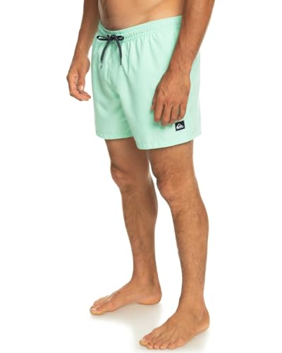 Quiksilver Young Mens Everyday Volley 15 Swim Shorts