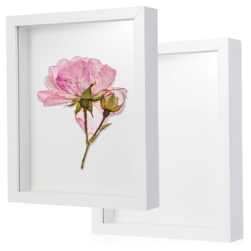 ERINGOGO 2pezzi Cornice Shadow Box in Cavo Per Esposizione Di Fiori Pressati Esemplari e