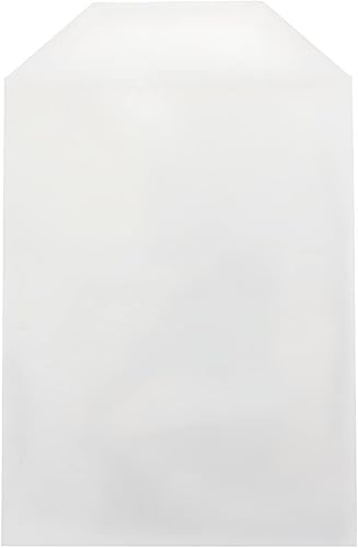 Mediaxpo Funda de plástico transparente de 500 CPP con solapa (se adapta a obras de arte de caja de DVD de 0.551 in)