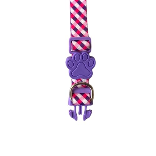 MY PET BRASIL Coleira Para Cachorros Pp Coleira Ajustável Pink & Purple Passeio E Viagem Confortável