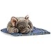Carl Dick Bulldog francés sobre Almohada 23cm Imagen de Carl Dick Bulldog francés sobre Almohada 23cm