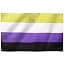 Non Binary
